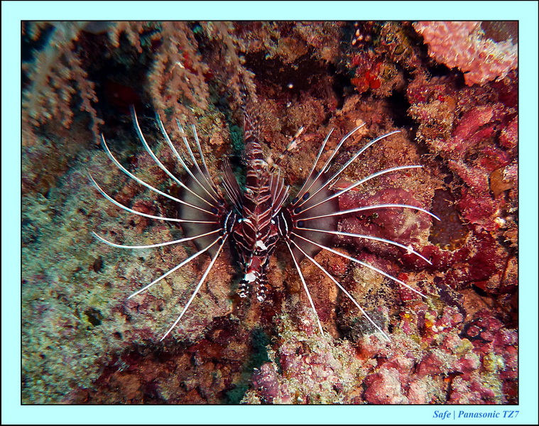 2011 - 08 - Borneo - Mantabuan 25